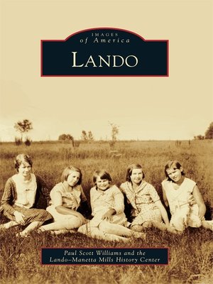 cover image of Lando